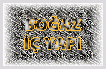 Boaz  Yap